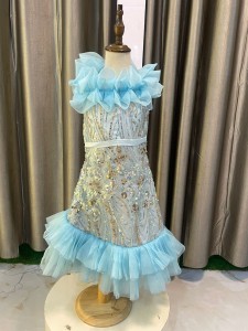 Sky Blue Beaded Frock organza fills
